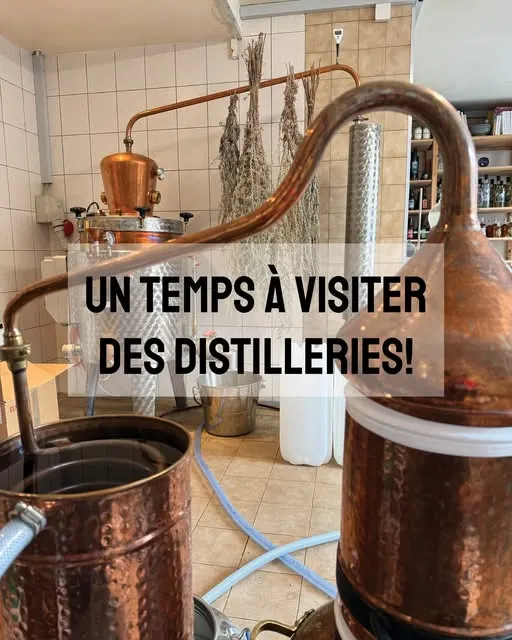 L’intérieur de la distillerie : alambics en cuivre et bouquets de plantes séchées